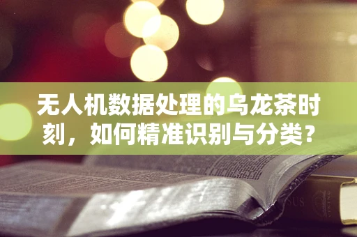 无人机数据处理的乌龙茶时刻，如何精准识别与分类？