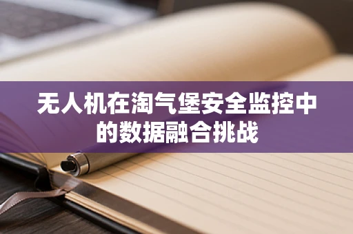无人机在淘气堡安全监控中的数据融合挑战