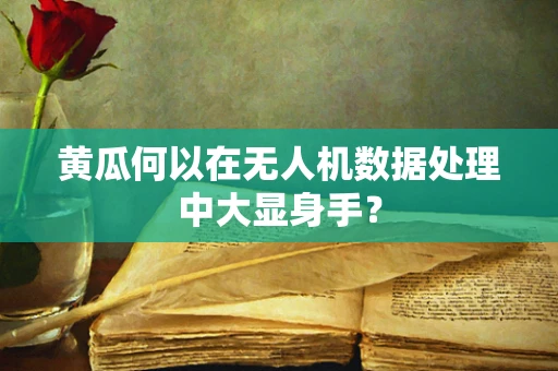 黄瓜何以在无人机数据处理中大显身手？