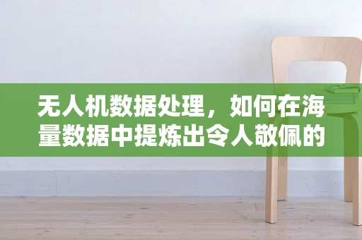 无人机数据处理，如何在海量数据中提炼出令人敬佩的洞察？