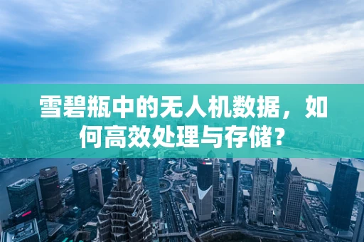 雪碧瓶中的无人机数据，如何高效处理与存储？