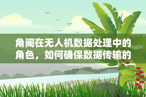 角阀在无人机数据处理中的角色，如何确保数据传输的精准与安全？