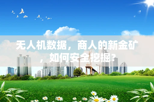 无人机数据，商人的新金矿，如何安全挖掘？