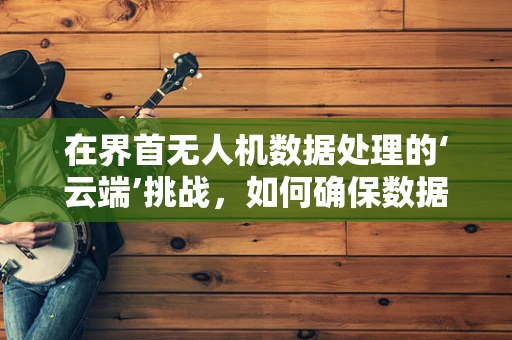 在界首无人机数据处理的‘云端’挑战，如何确保数据安全与高效传输？