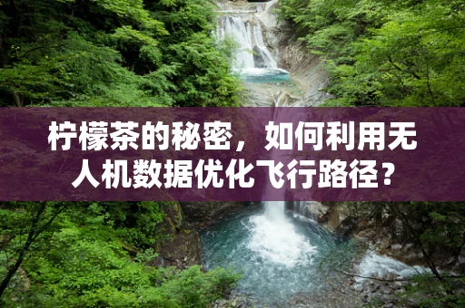 柠檬茶的秘密，如何利用无人机数据优化飞行路径？
