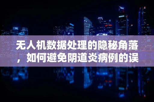 无人机数据处理的隐秘角落，如何避免阴道炎病例的误诊？
