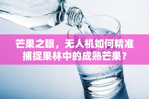 芒果之眼，无人机如何精准捕捉果林中的成熟芒果？