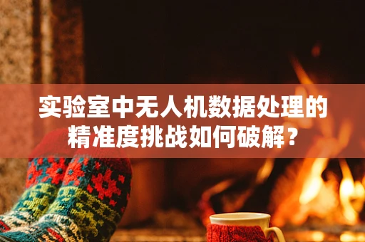 实验室中无人机数据处理的精准度挑战如何破解？