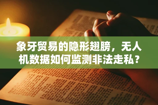 象牙贸易的隐形翅膀，无人机数据如何监测非法走私？