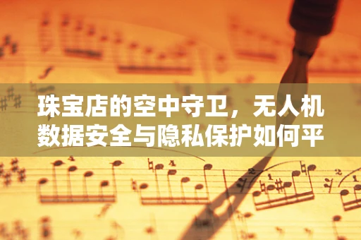 珠宝店的空中守卫，无人机数据安全与隐私保护如何平衡？