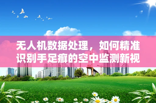 无人机数据处理，如何精准识别手足癣的空中监测新视角？