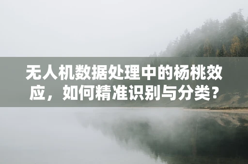 无人机数据处理中的杨桃效应，如何精准识别与分类？