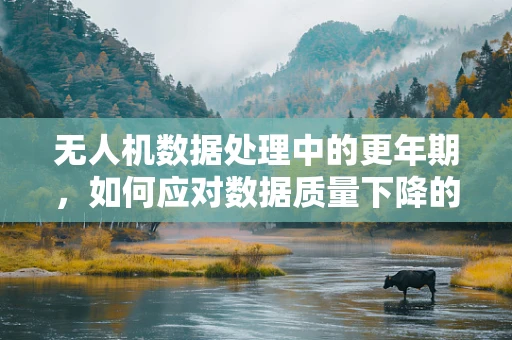 无人机数据处理中的更年期，如何应对数据质量下降的挑战？