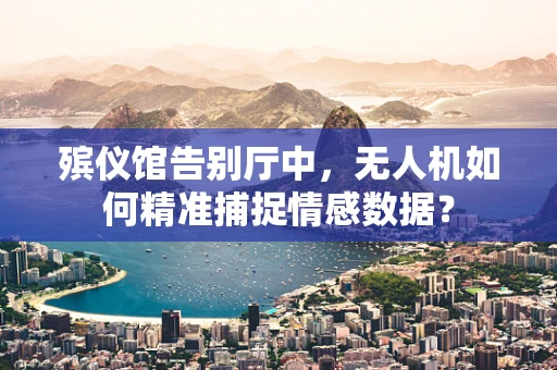 殡仪馆告别厅中，无人机如何精准捕捉情感数据？
