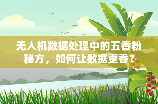 无人机数据处理中的五香粉秘方，如何让数据更香？