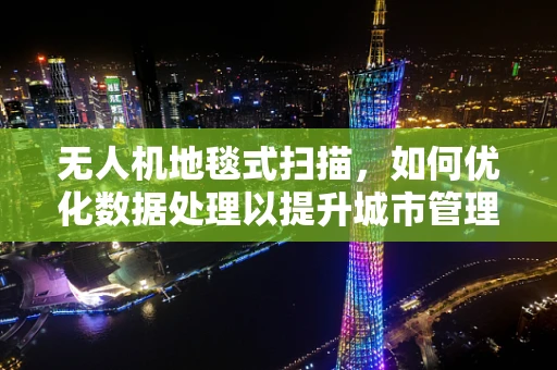 无人机地毯式扫描，如何优化数据处理以提升城市管理效率？