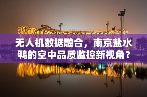 无人机数据融合，南京盐水鸭的空中品质监控新视角？