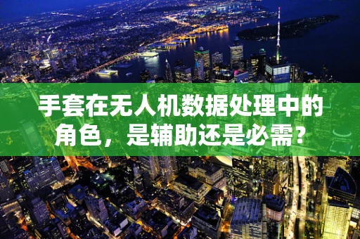 手套在无人机数据处理中的角色，是辅助还是必需？