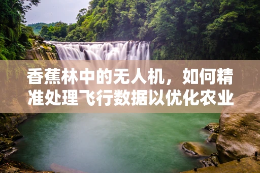香蕉林中的无人机，如何精准处理飞行数据以优化农业监测？