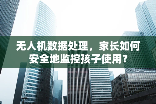 无人机数据处理，家长如何安全地监控孩子使用？
