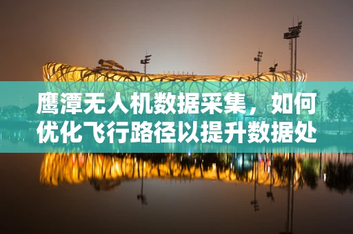 鹰潭无人机数据采集，如何优化飞行路径以提升数据处理效率？