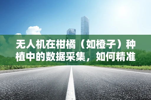 无人机在柑橘（如橙子）种植中的数据采集，如何精准识别果树？
