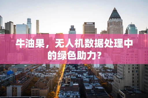 牛油果，无人机数据处理中的绿色助力？