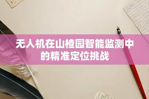 无人机在山楂园智能监测中的精准定位挑战
