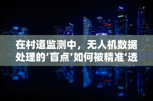 在村道监测中，无人机数据处理的‘盲点’如何被精准‘透视’？