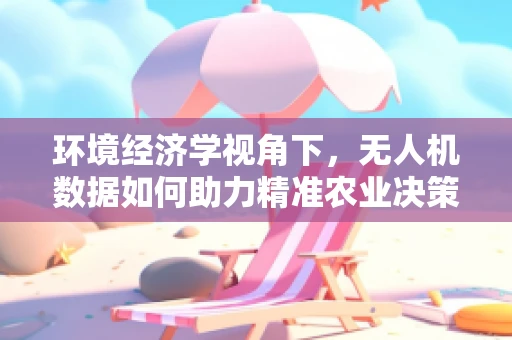 环境经济学视角下，无人机数据如何助力精准农业决策？