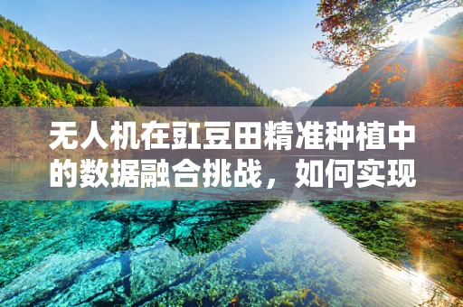 无人机在豇豆田精准种植中的数据融合挑战，如何实现高效作物监测？