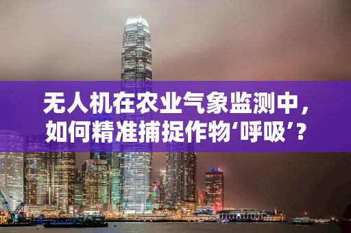 无人机在农业气象监测中，如何精准捕捉作物‘呼吸’？