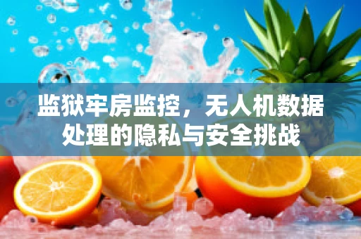 监狱牢房监控，无人机数据处理的隐私与安全挑战