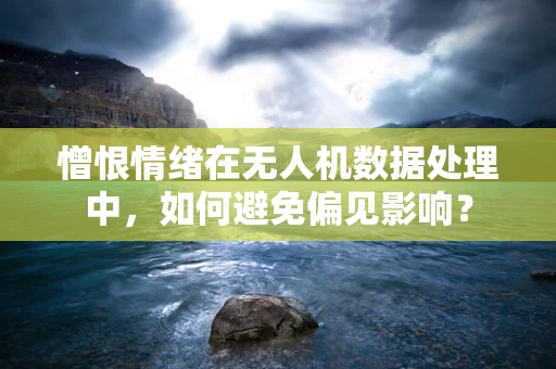 憎恨情绪在无人机数据处理中，如何避免偏见影响？