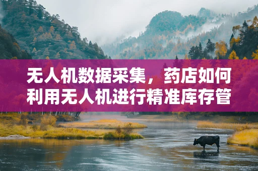 无人机数据采集，药店如何利用无人机进行精准库存管理？