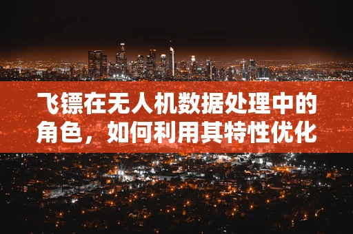 飞镖在无人机数据处理中的角色，如何利用其特性优化路径规划？