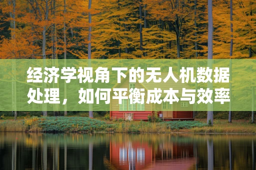 经济学视角下的无人机数据处理，如何平衡成本与效率？