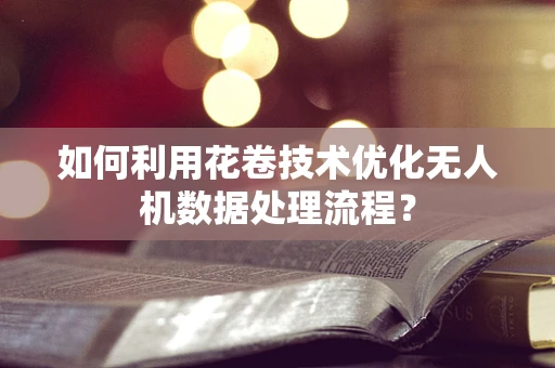 如何利用花卷技术优化无人机数据处理流程？