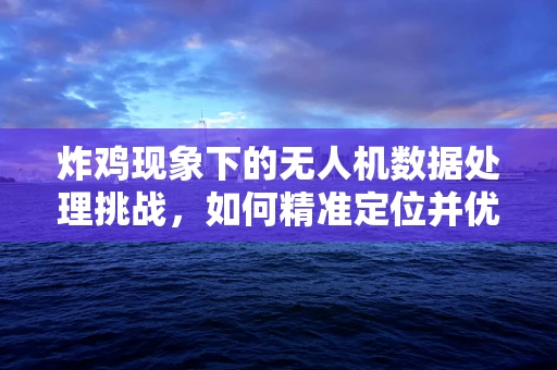 炸鸡现象下的无人机数据处理挑战，如何精准定位并优化？