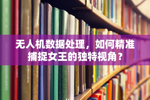 无人机数据处理，如何精准捕捉女王的独特视角？
