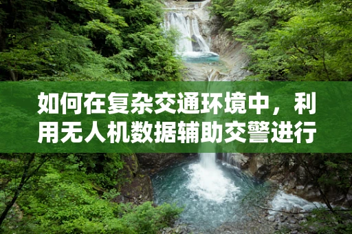 如何在复杂交通环境中，利用无人机数据辅助交警进行高效管理？