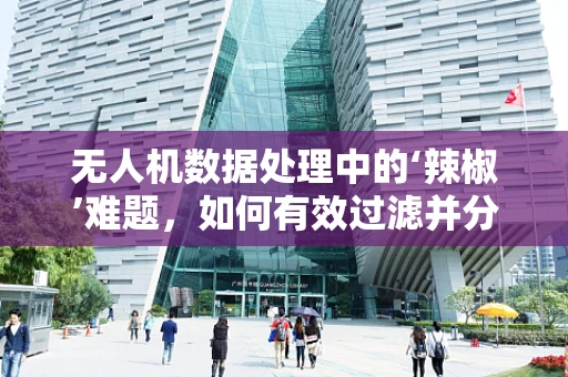 无人机数据处理中的‘辣椒’难题，如何有效过滤并分析数据？