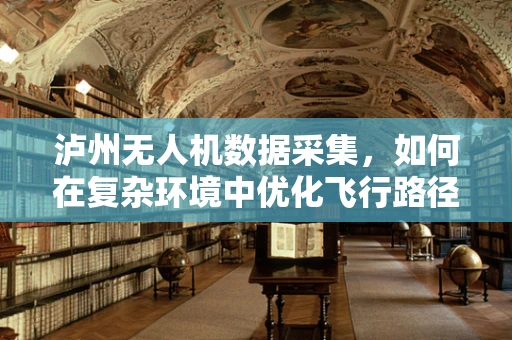 泸州无人机数据采集，如何在复杂环境中优化飞行路径？