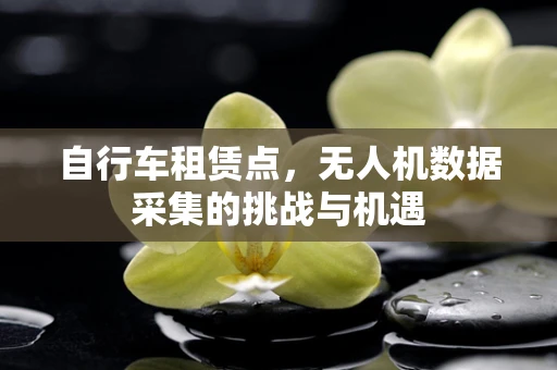 自行车租赁点，无人机数据采集的挑战与机遇