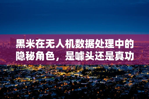 黑米在无人机数据处理中的隐秘角色，是噱头还是真功夫？