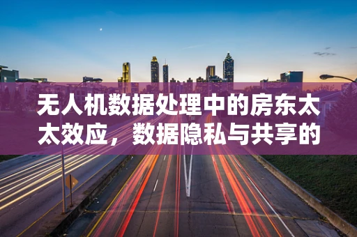 无人机数据处理中的房东太太效应，数据隐私与共享的微妙平衡