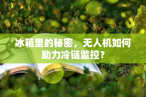 冰箱里的秘密，无人机如何助力冷链监控？