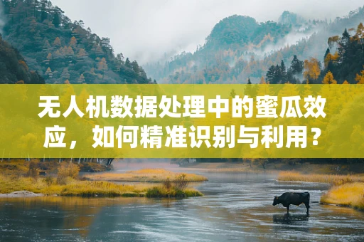 无人机数据处理中的蜜瓜效应，如何精准识别与利用？