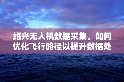 绍兴无人机数据采集，如何优化飞行路径以提升数据处理效率？
