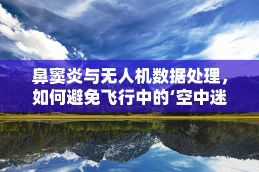 鼻窦炎与无人机数据处理，如何避免飞行中的‘空中迷宫’？